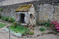 DSC_1579.jpg